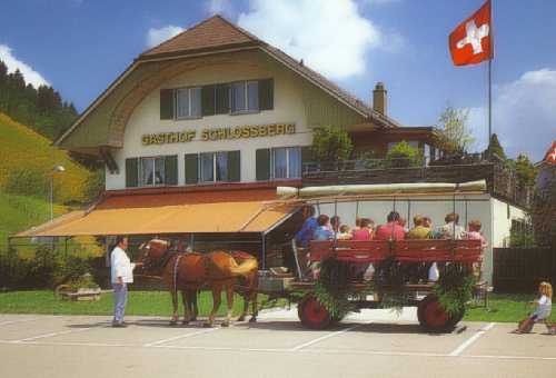 Direktlink zu Gasthof Schlossberg Bori